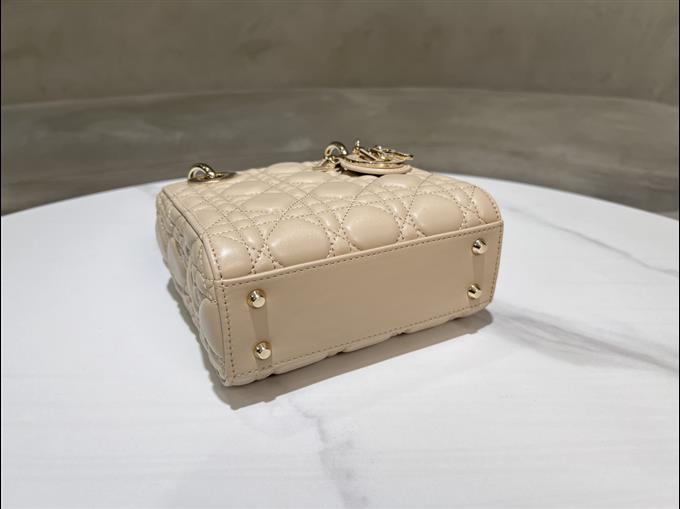 2025228Y700P222952263