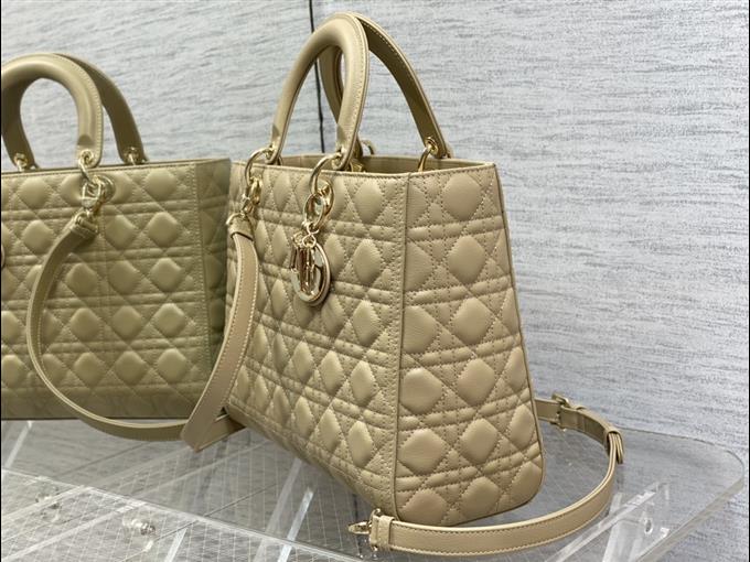 2025228Y880P205910141