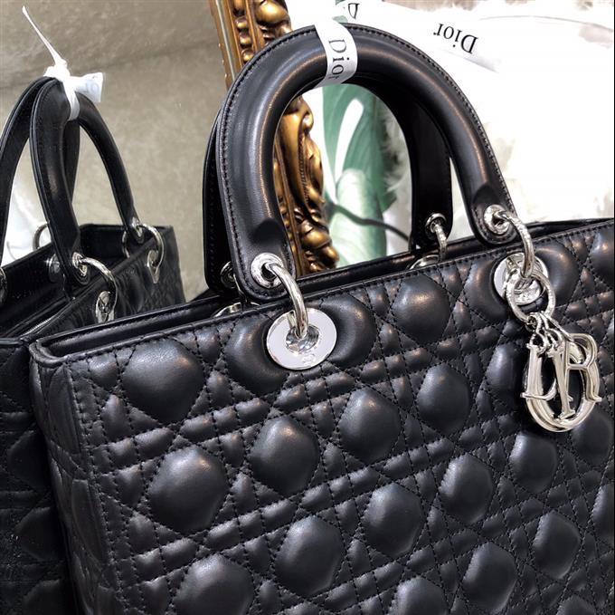 2025228Y880P205910893