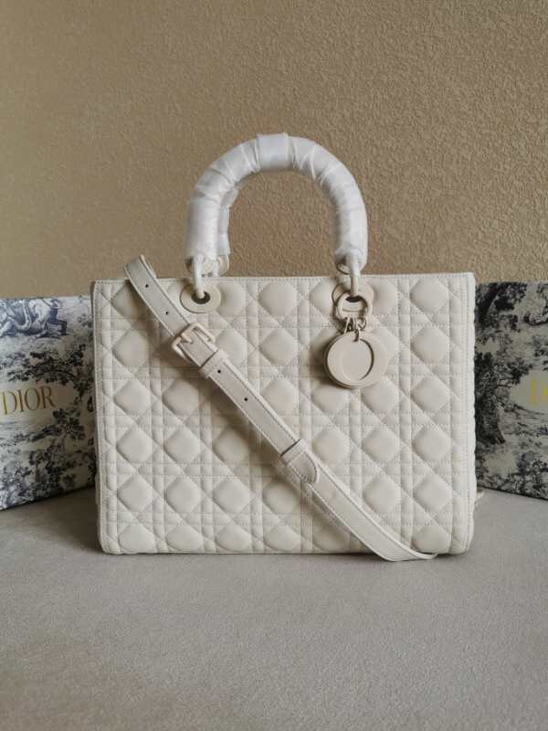 2025228Y880P20599467