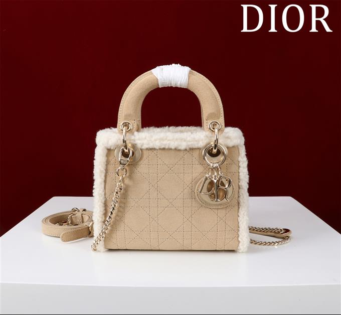 2025228Y850P22295341