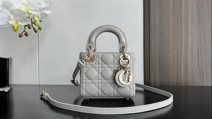 2025228Y580P212424501