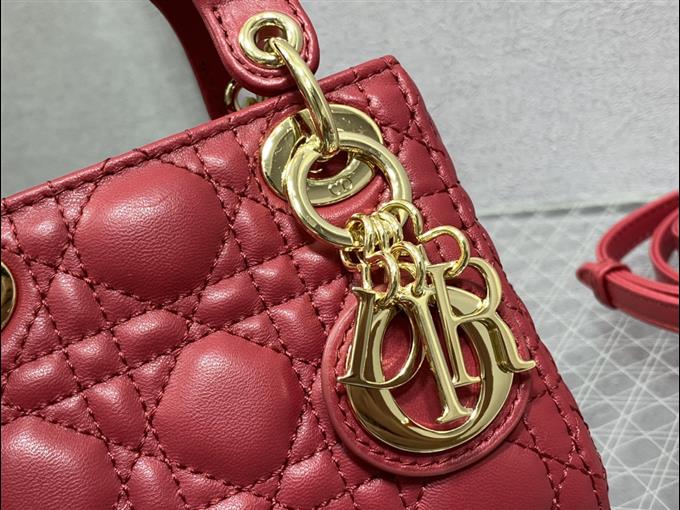 2025228Y580P212424826