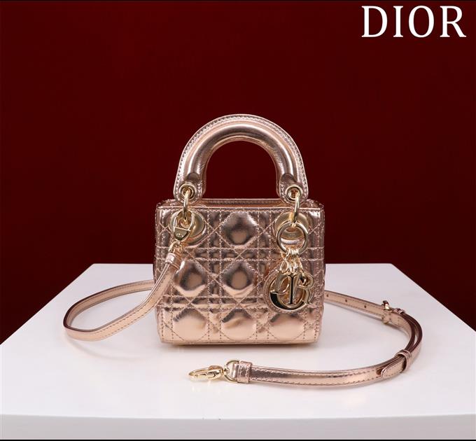 2025228Y600P21242547