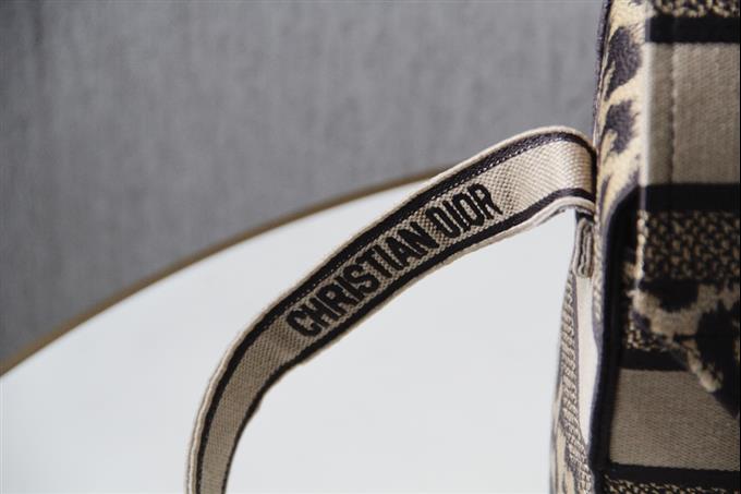 2025228Y650P221211664