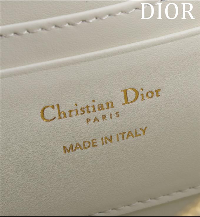 2025228Y600P204645632