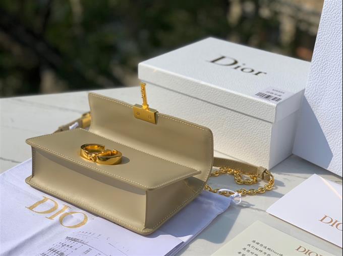 2025228Y950P204617636