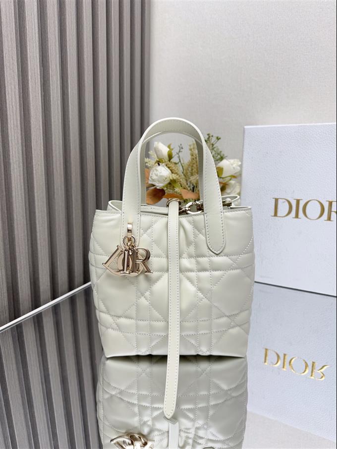 2025228Y750P212645529