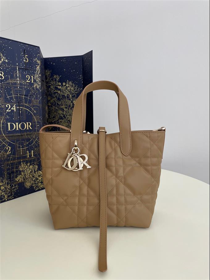 2025228Y750P212646313