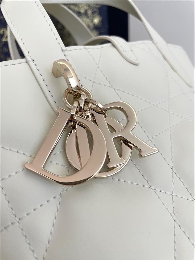 2025228Y750P212646470