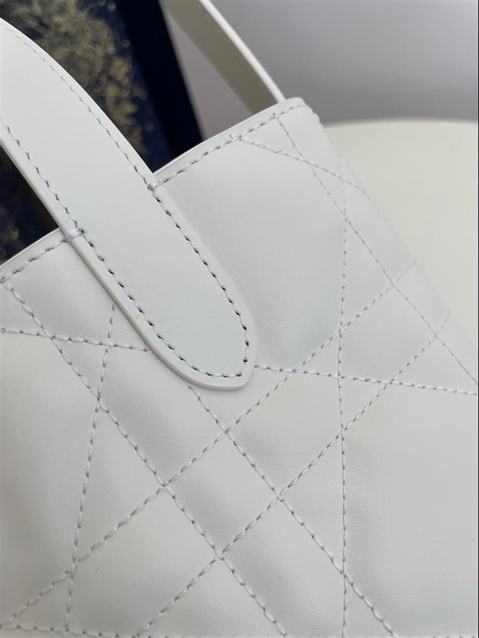 2025228Y750P212646501