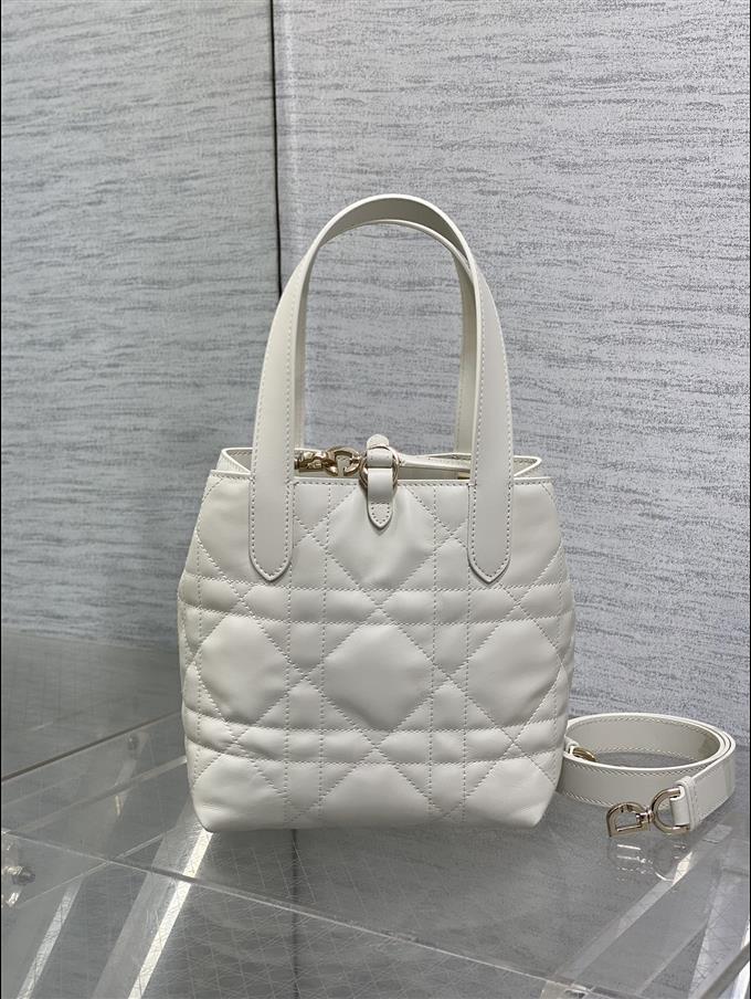 2025228Y750P212646766