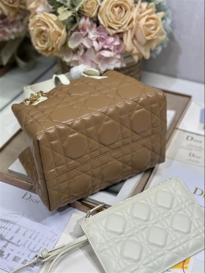 2025228Y780P212648200