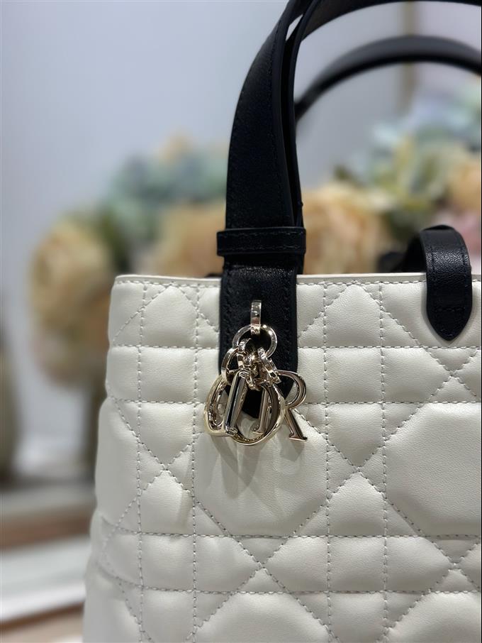 2025228Y780P212648374