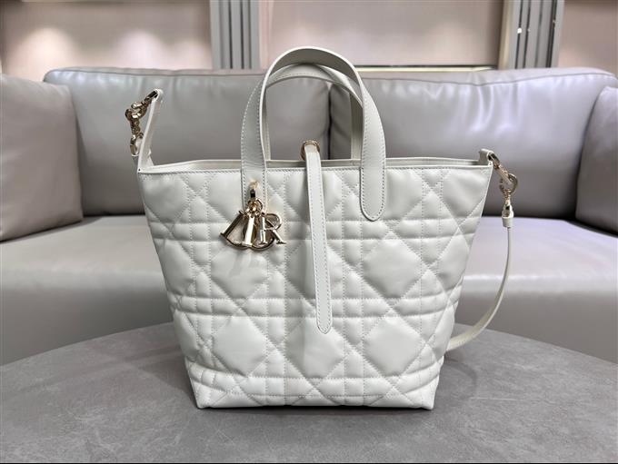 2025228Y780P212648564