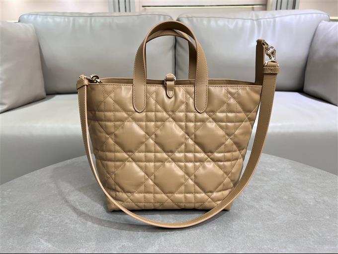 2025228Y780P212649491