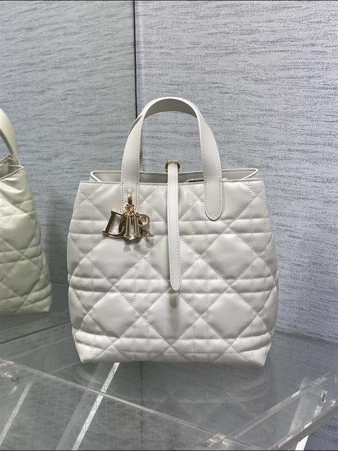 2025228Y780P212649712