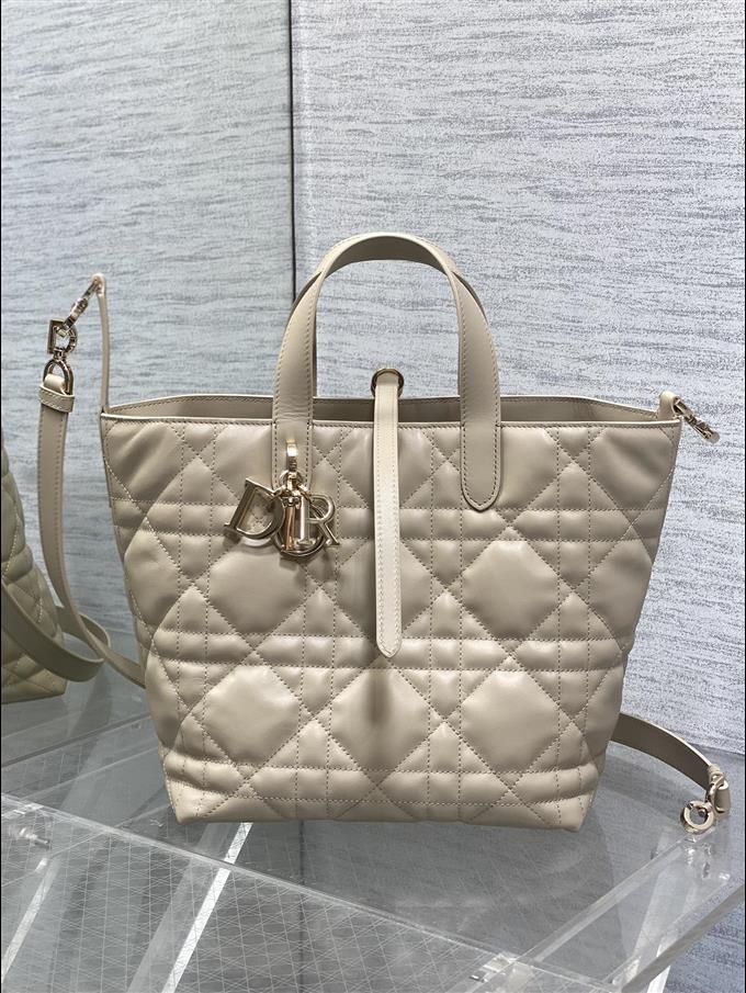 2025228Y780P212649981