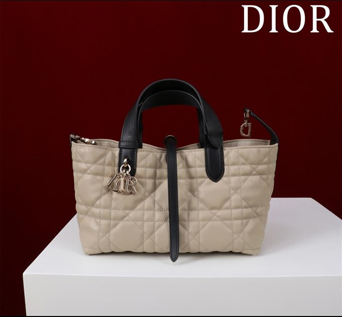 2025228Y800P212640151