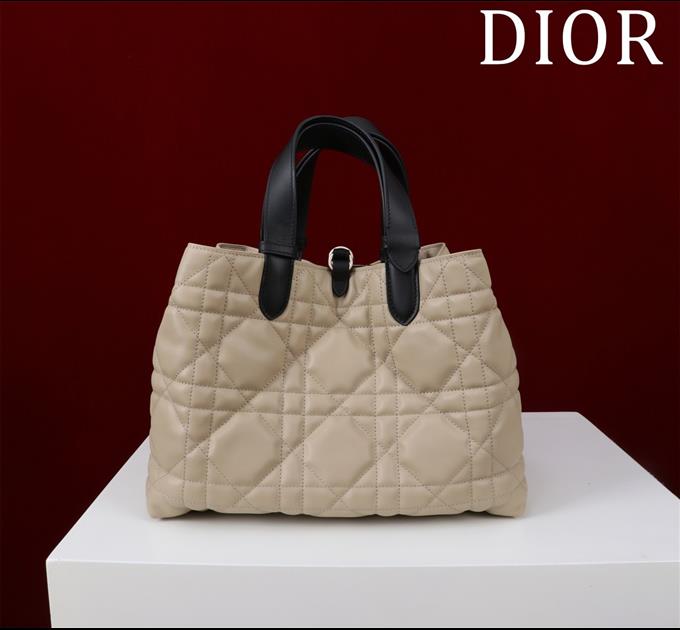 2025228Y850P212642311