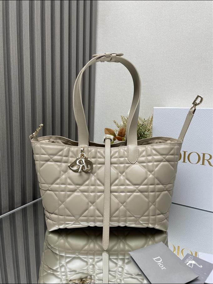 2025228Y850P212659756