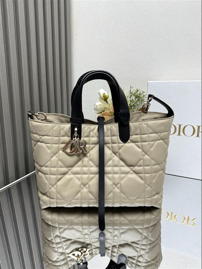 2025228Y850P21271156