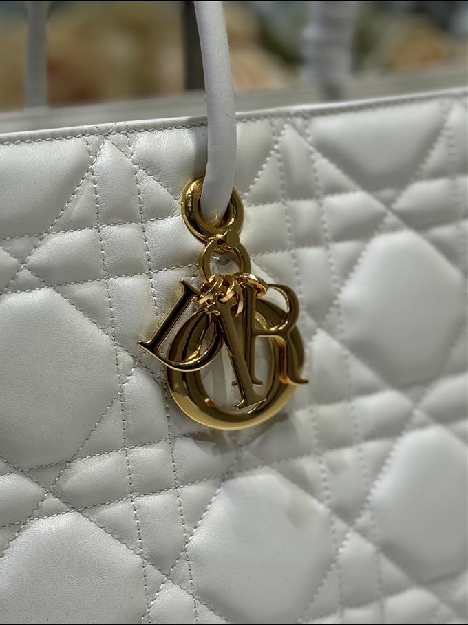 2025228Y880P21277317