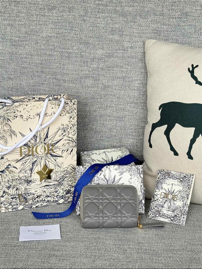 2025228Y330P203713923