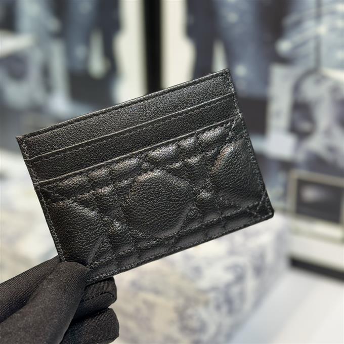 2025228Y150P203553538