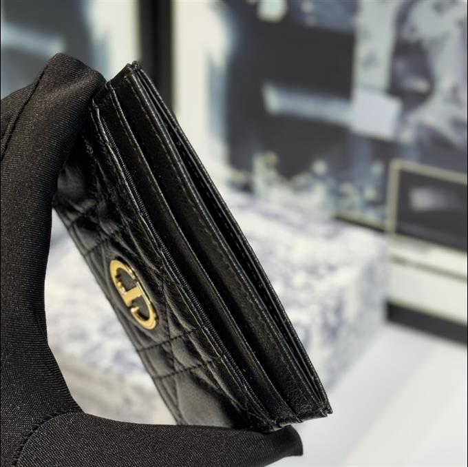 2025228Y150P203553568