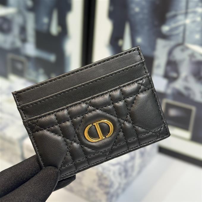 2025228Y150P203553648