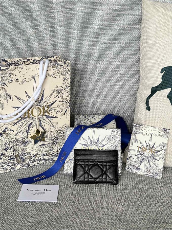 2025228Y180P203537795