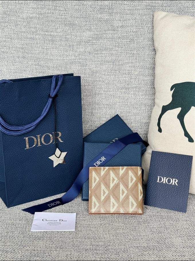 2025228Y210P182053689