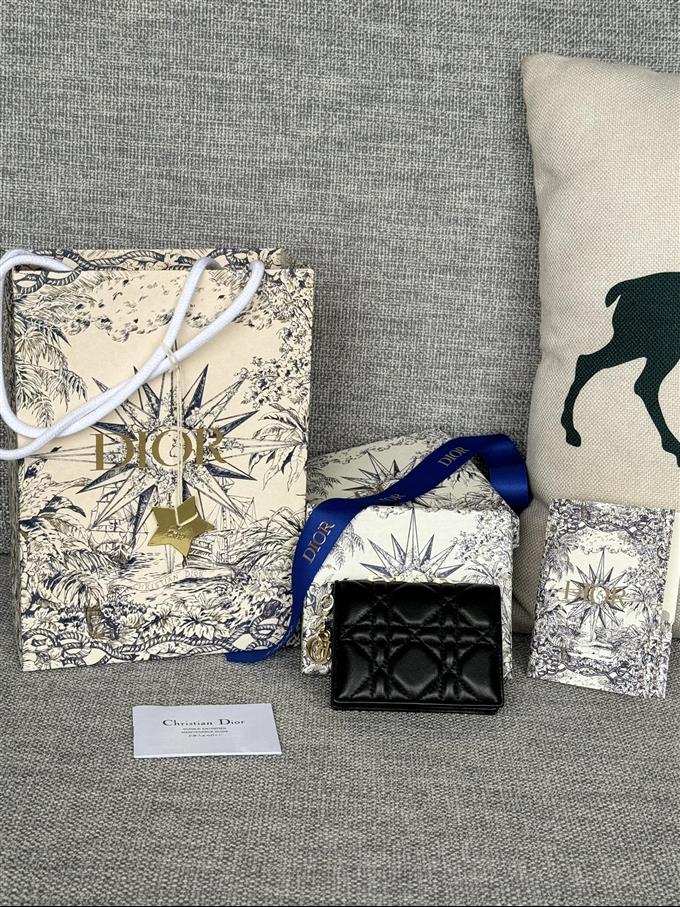 2025228Y240P203543470