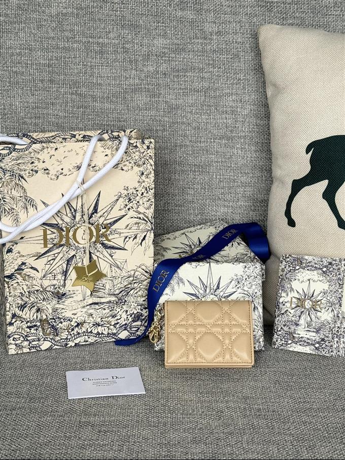 2025228Y240P203543611