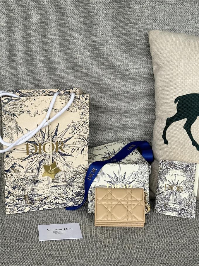 2025228Y240P203543625