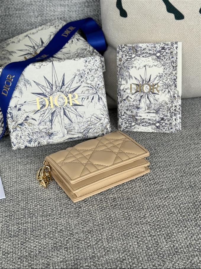 2025228Y240P203543641