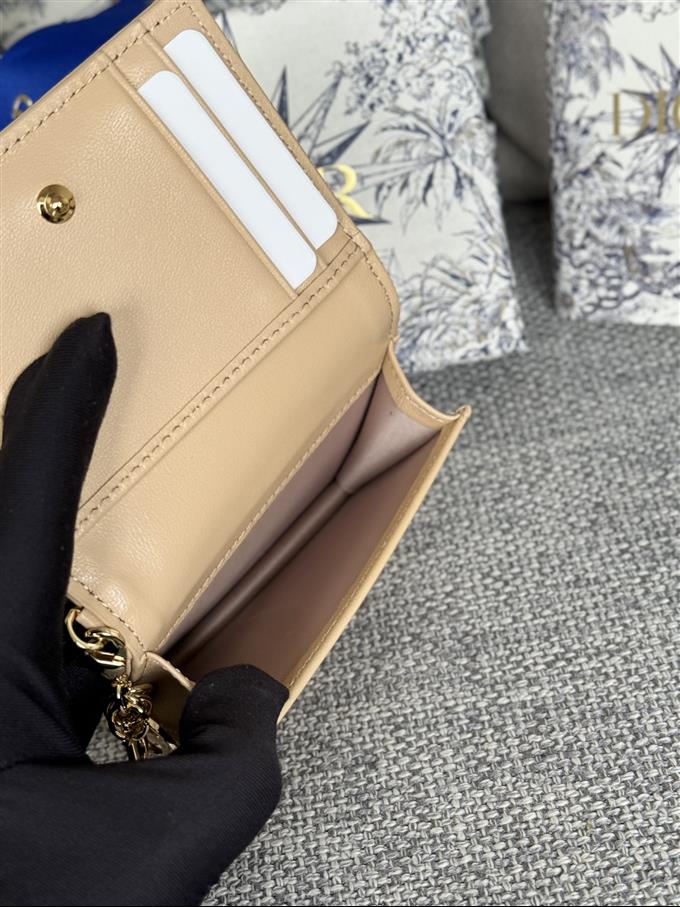 2025228Y240P203543719