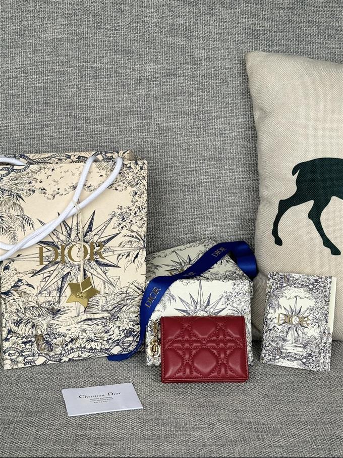 2025228Y240P203543750