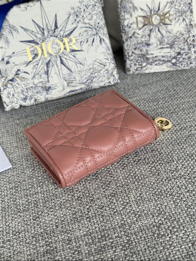 2025228Y240P203543936