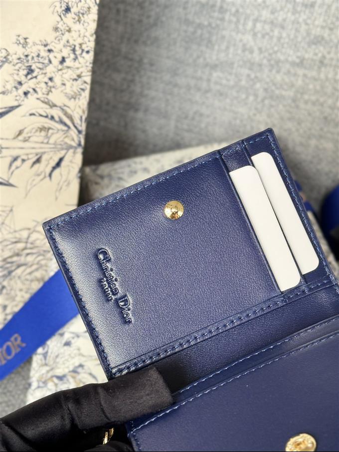 2025228Y240P203544137