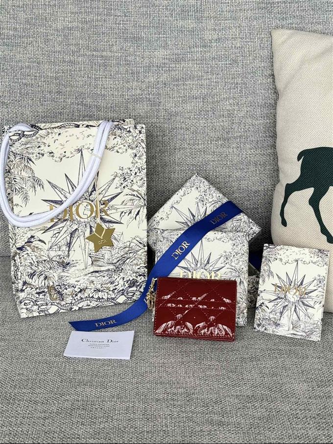 2025228Y240P203544169