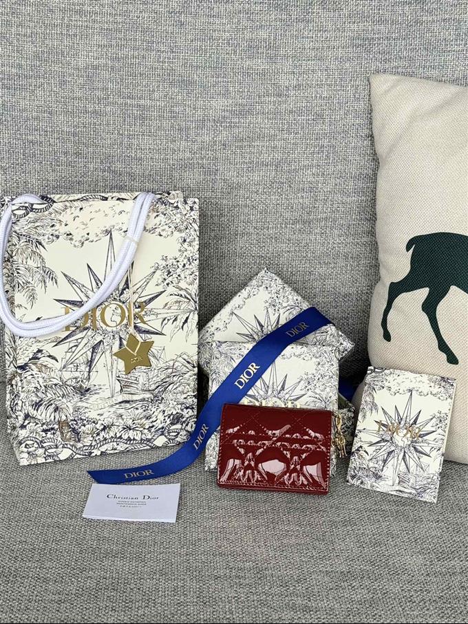 2025228Y240P203544184