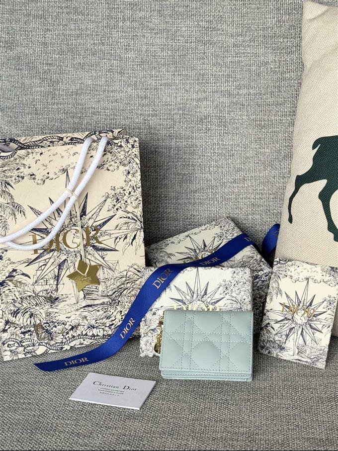 2025228Y240P203544307