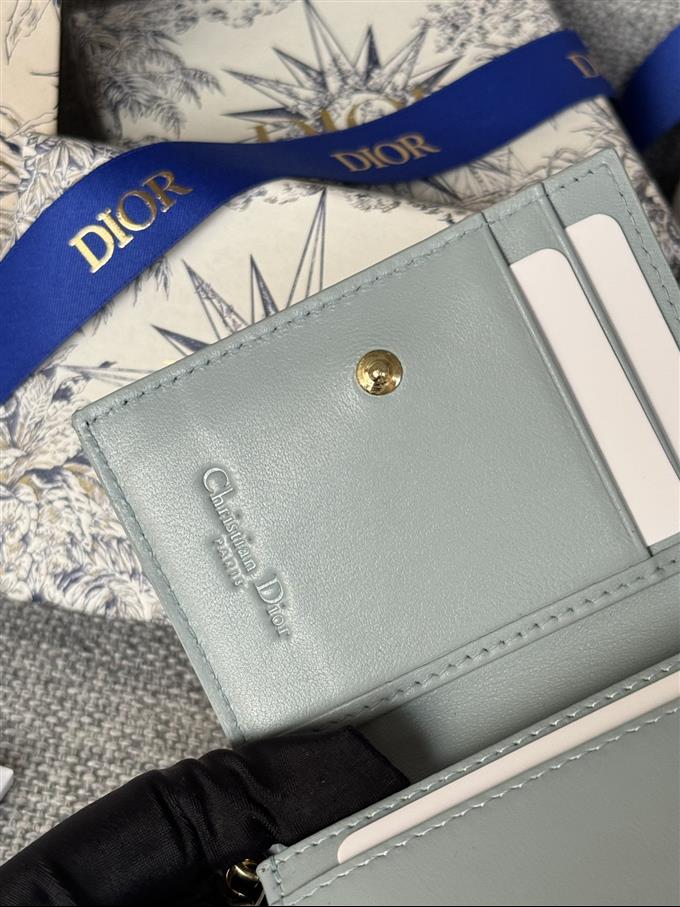 2025228Y240P203544419