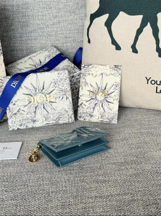 2025228Y240P203544481