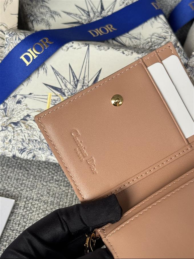 2025228Y240P203544702