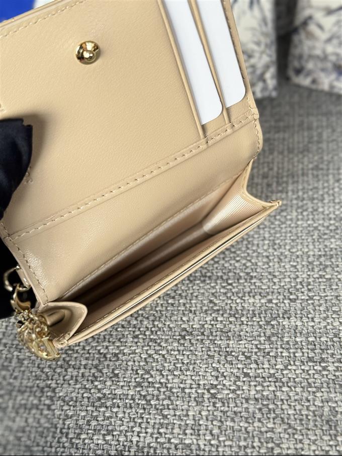 2025228Y240P203545144