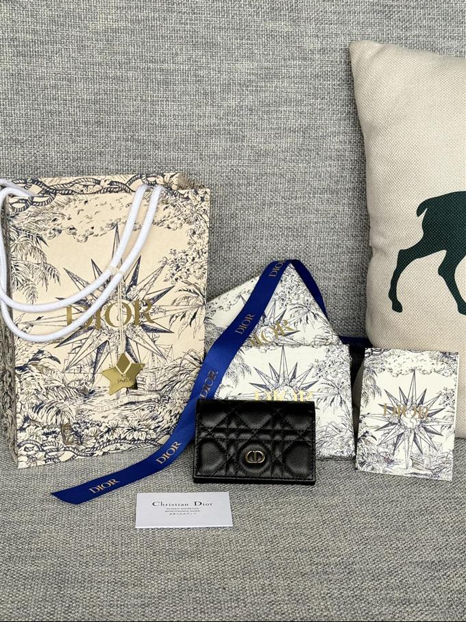 2025228Y240P20375671