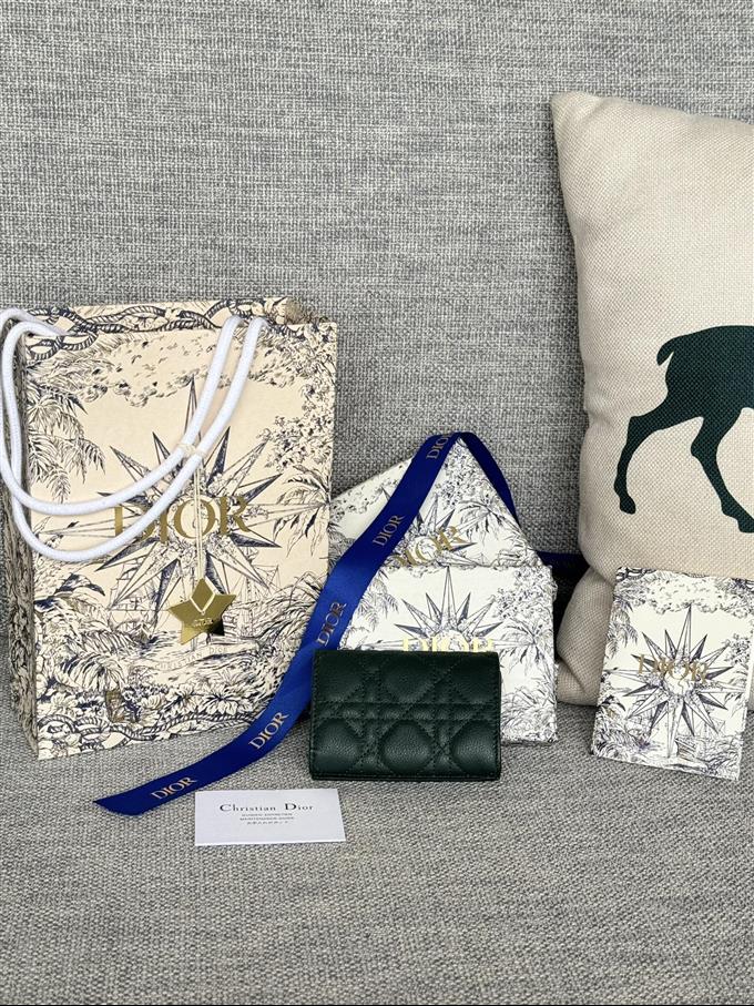 2025228Y240P20375970